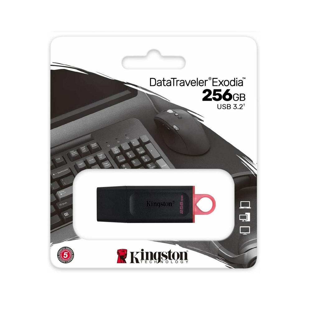 Kingston USB DTX 256GB 3.2