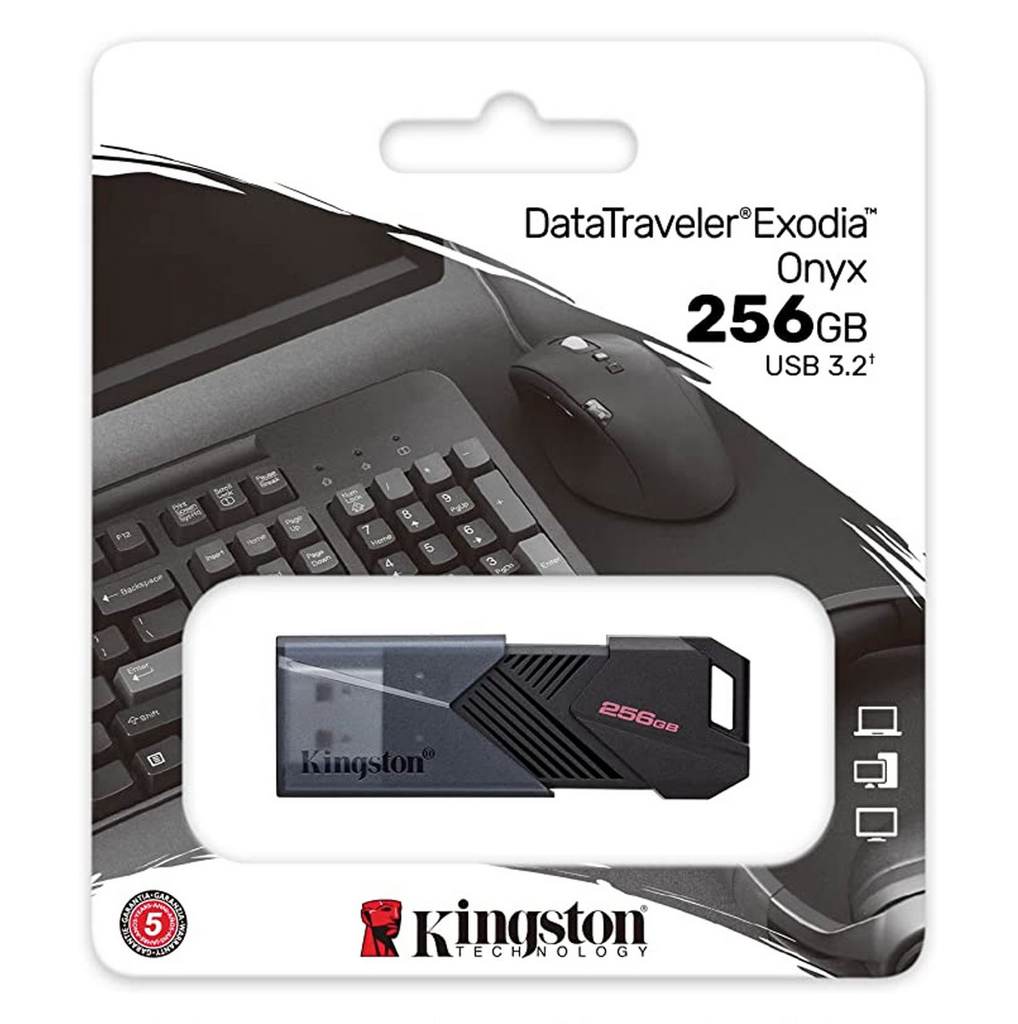 Kingston USB DTXON 256gb 3.2